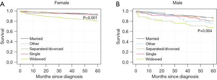 Marital status, race/ethnicity, and outcomes in well-differentiated thyroid cancer in the elderly.