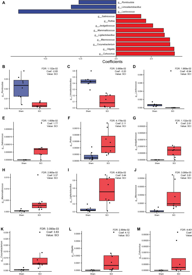 Metagenomic and metabolomic analysis of gut microbiome's role in spinal cord injury recovery in rats.