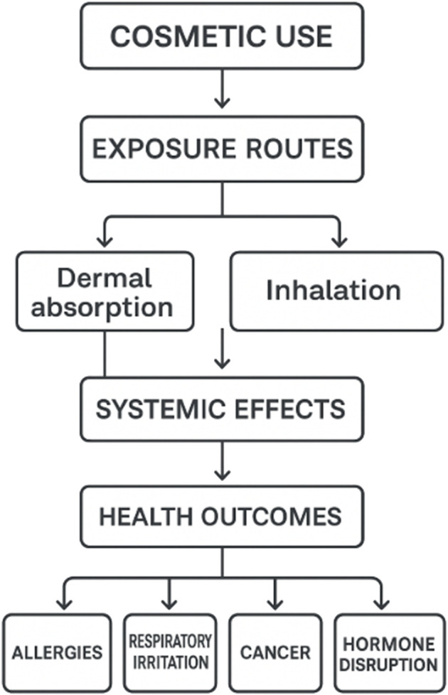 The impact of perfumes and cosmetic products on human health: a narrative review.