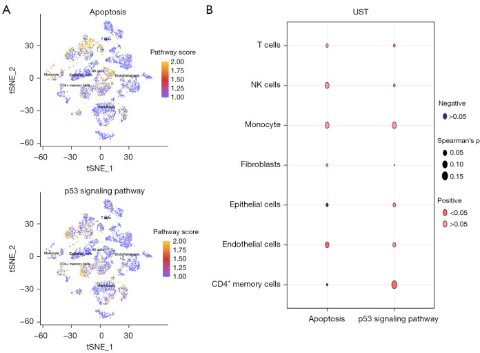 Thyroid differentiation score-related genes and prognostic model for thyroid cancer.