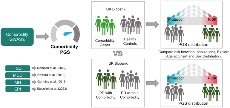 Polygenic scores contribution to Parkinson's disease comorbidities.
