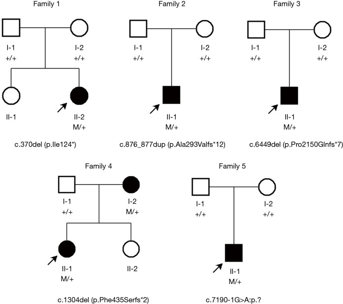 Novel variants in <i>ZNF462</i> and phenotype update in patients with Weiss-Kruszka syndrome: a case series.