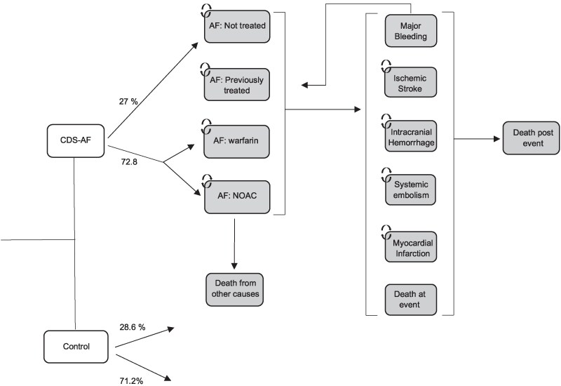 Cost-effectiveness of a clinical decision support system for atrial fibrillation: an RCT-based modelling study.