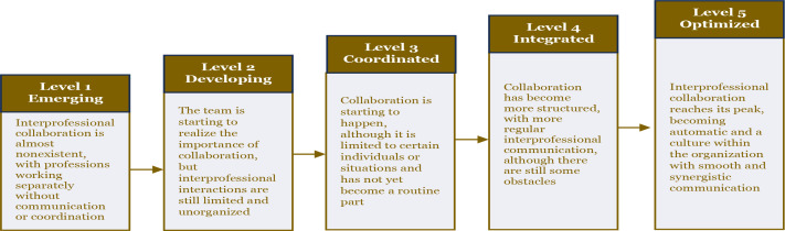 Developing a maturity-level model for interprofessional collaboration in elective surgery preparation.