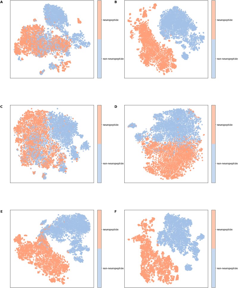 Toward high-efficiency, low-resource, and explainable neuropeptide prediction with MSKDNP.