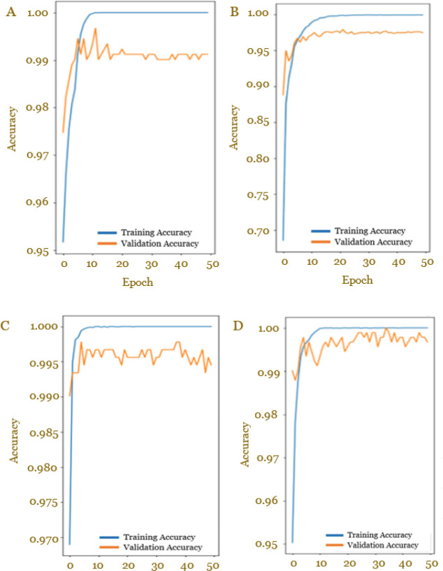 Enhancing dermoscopic pigmented skin lesion classification: A refined approach using the pre-trained Inception-V3 architecture.