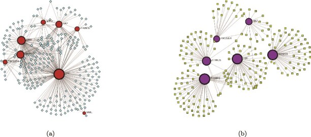 AttBiomarker: unveiling preeclampsia biomarkers and molecular pathways through two-stage gene selection techniques and attention-based CNN with gene regulatory network analysis.
