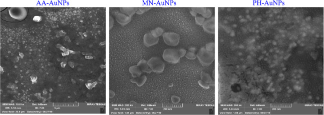 Gold nanoparticles from <i>Artemisia absinthium, Morus nigra</i>, and <i>Peganum harmala</i>: biosynthesis, characterization, and their biological evaluations against cancer cells.