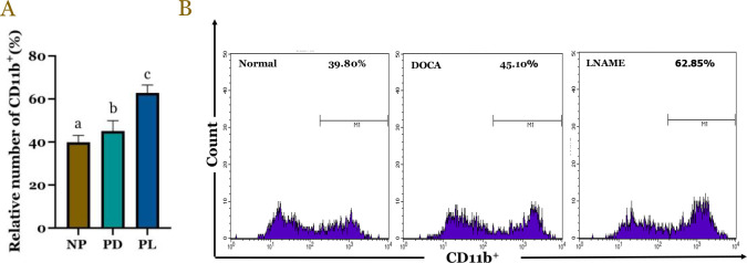 DOCA and L-NAME hydrochloride: Their impact on T regulatory cells, macrophage activity, and pro- and anti-inflammatory cytokine profiles in pre-eclampsia animal model.