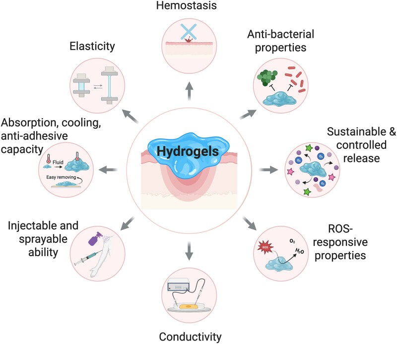 Advancing injectable hydrogels for wound treatment: targeted control of oxidative stress toward personalized regeneration.