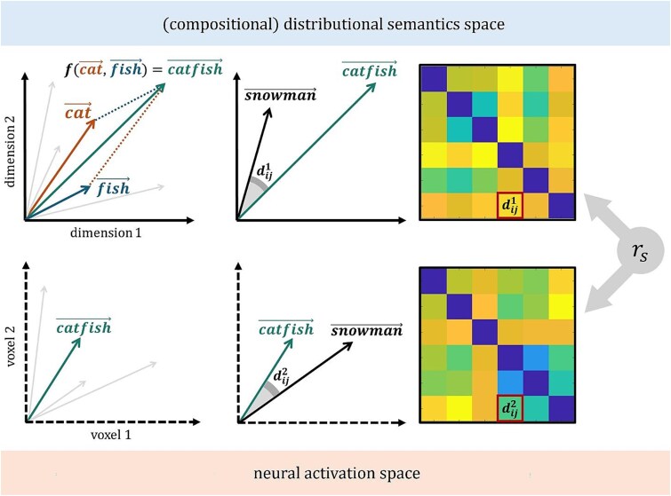 Compositionality in the semantic network: a model-driven representational similarity analysis.