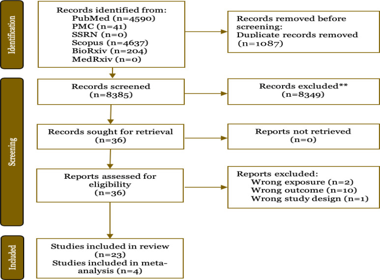 Associations between plasma beta amyloid and cognitive decline: A systematic review and meta-analysis.