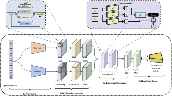 CRISPR-FMC: a dual-branch hybrid network for predicting CRISPR-Cas9 on-target activity.