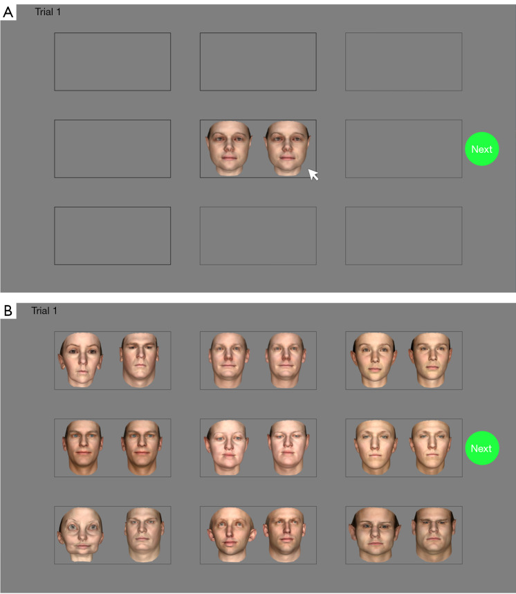 Impaired face identity discrimination in individuals with cerebral visual impairment: a pilot study.