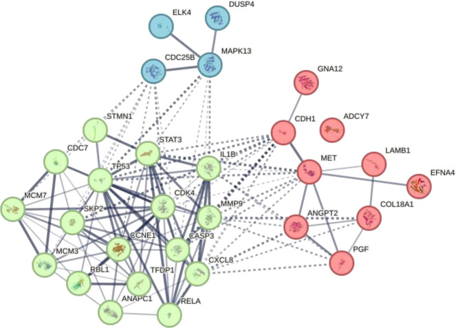 Beetroot (<i>Beta vulgaris</i>) potential in preventing colorectal cancer using in-silico analysis.