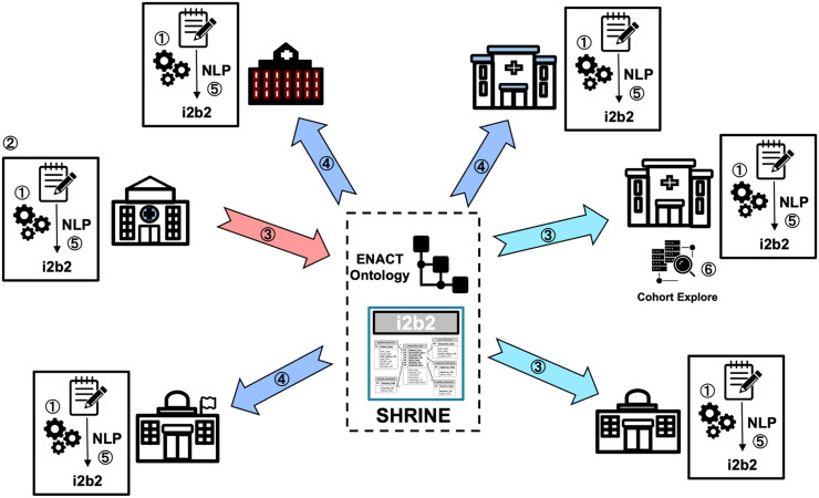 Development and validation of natural language processing algorithms in the national ENACT network.