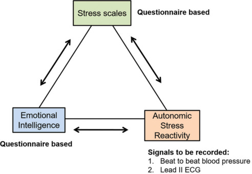 Emotional intelligence and sympatho-vagal balance as determinants of stress in undergraduate medical students: A cross-sectional observational study.