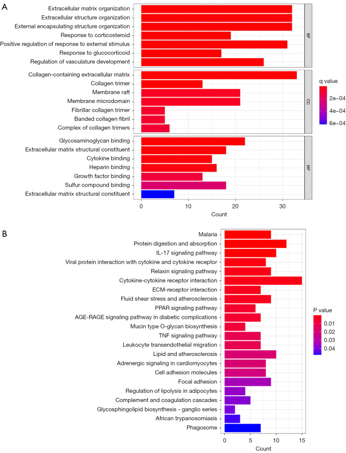 <i>ISG20L2</i> as a driver in the proliferation and invasion of lung adenocarcinoma via <i>NKX2-1</i> regulation.