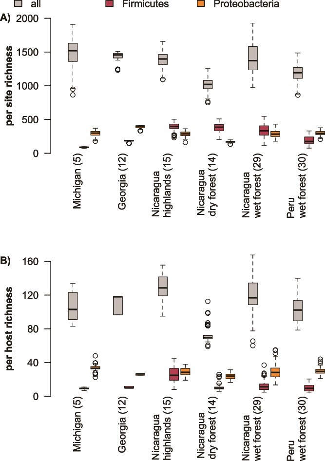 Increased host diversity limits bacterial generalism but may promote microbe-microbe interactions.