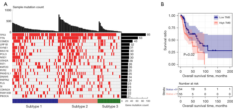 A novel risk score model incorporating six co-stimulatory molecules for accurate prognosis prediction of laryngeal cancer.