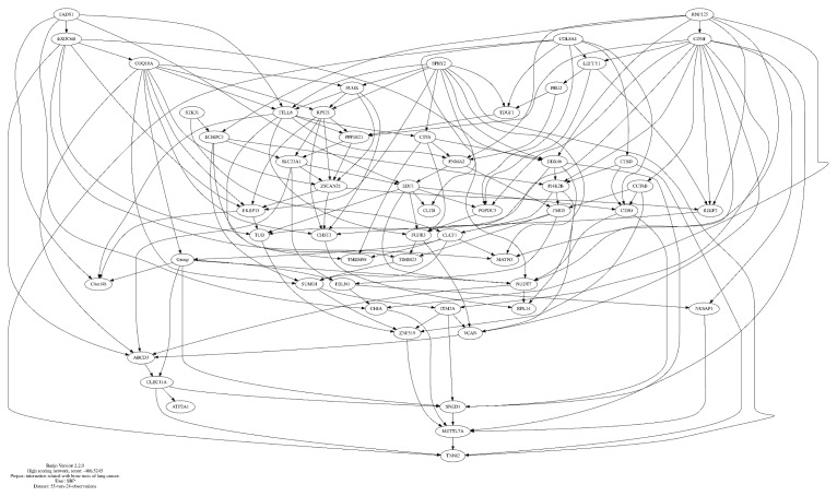 Identification of Bone Metastasis-Related Gene Networks in Lung Cancer: Implications for Bone Metabolism.