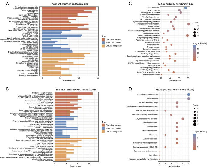Identification of mechanosensitive ion channel-related molecular subtypes and key genes for ovarian cancer.