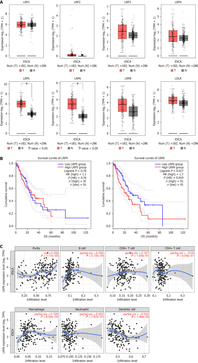 Effects of low-density lipoprotein cholesterol on lymph node metastasis after radical esophagectomy.