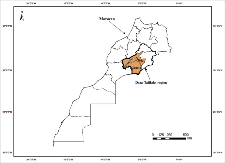 Acute generalized peritonitis in children: A 7-year retrospective study of epidemiological, clinical, and therapeutic profiles in southeastern Morocco and 2-year forecast.
