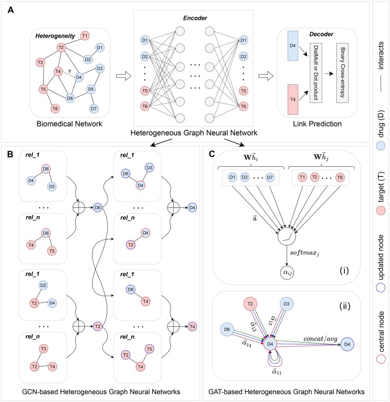 Heterogeneous graph neural networks for link prediction in biomedical networks.