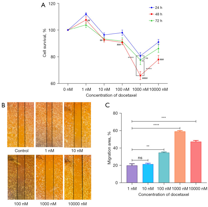 Investigation into the sensitivity of adipocytes mediated by the major vault protein (MVP) to chemotherapy for triple-negative breast cancer.