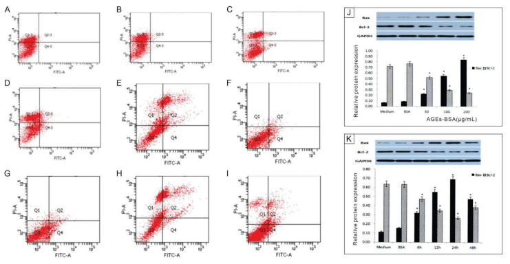 AGEs Inducing EPCs Apoptosis via ROS and p38 MAPK/JNK Pathways in Diabetic Vascular Complications.