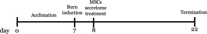 Mesenchymal stem cell-derived secretome accelerates third-degree burn wound healing: Effects on proliferation, angiogenesis, and fibrosis regulation.