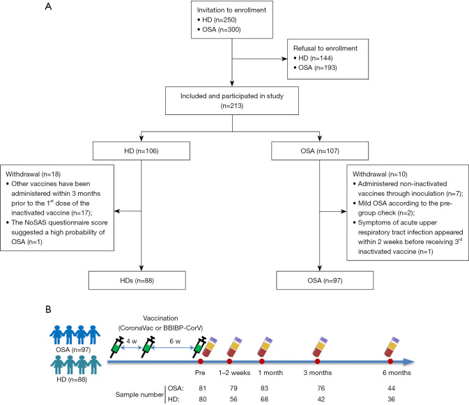 Impact of obstructive sleep apnea severity and treatment on COVID-19 vaccine-induced immune responses.