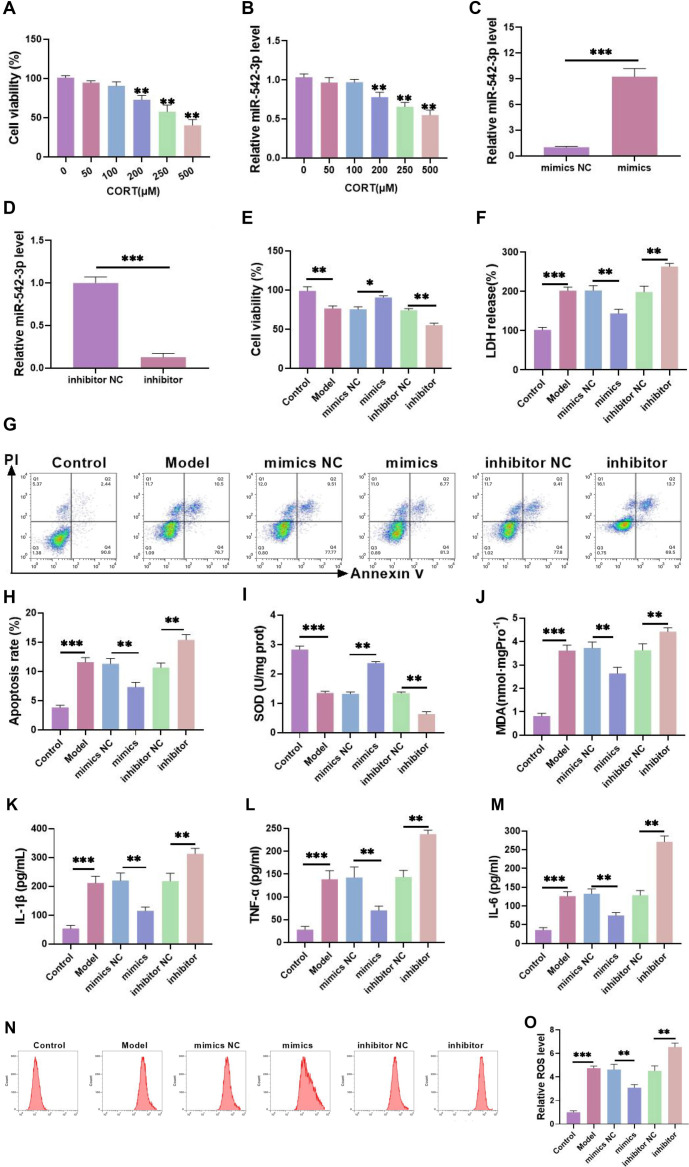 miR-542-3p attenuates corticosterone-induced hippocampal neuronal damage in depressive mice by modulating PTEN/AKT/GSK3β/β-catenin pathway.