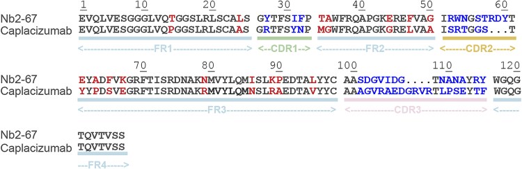 Computational refinement and multivalent engineering of complementarity-determining region-grafted nanobodies on a humanized scaffold for retaining antiviral efficacy.