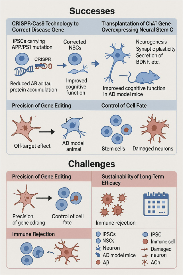 Stem cell and CRISPR/Cas9 gene editing technology in Alzheimer's disease therapy: from basic research to clinical innovation.