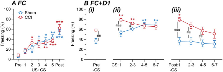 Fear-learning is altered in a mouse neuropathic pain model.