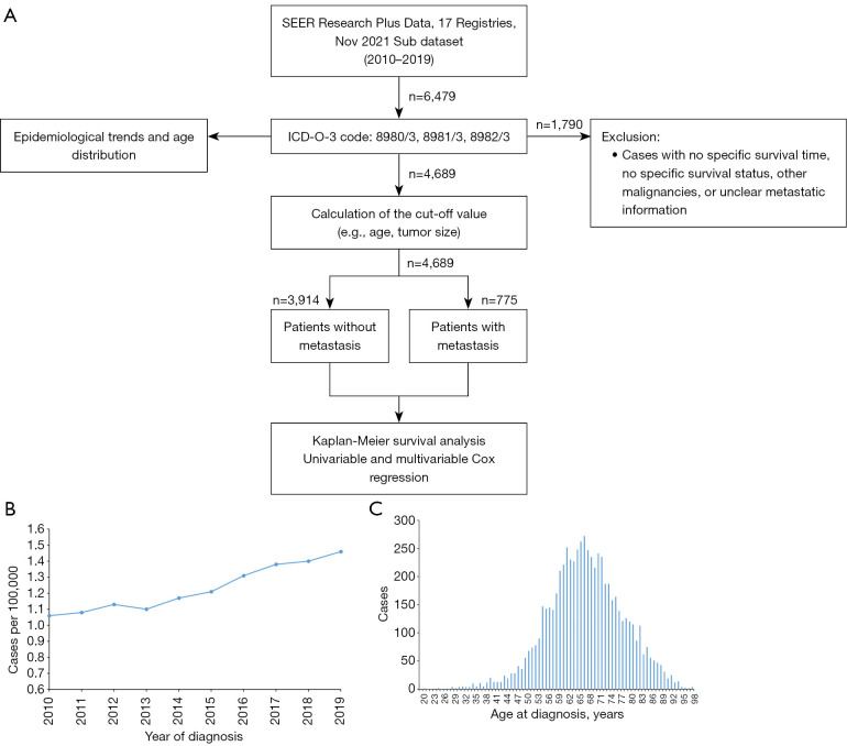 Risk factors and treatment strategies for female reproductive system carcinosarcoma with metastasis.