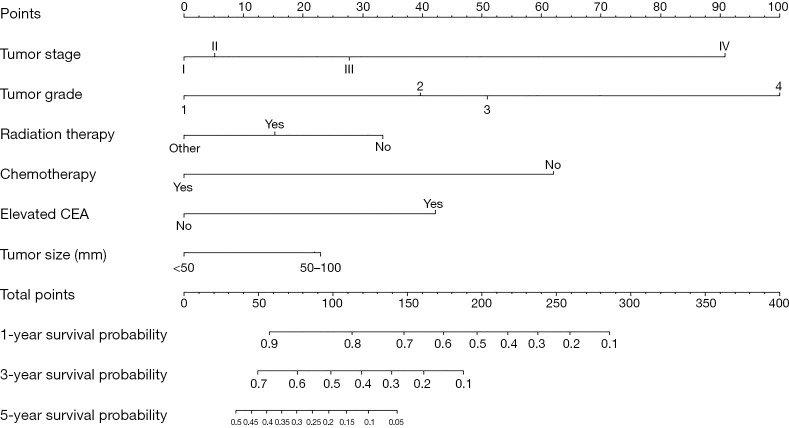 Prognostic nomogram for overall survival in rectal cancer with synchronous lung metastases using Surveillance, Epidemiology, and End Results data and a single-center external validation cohort.