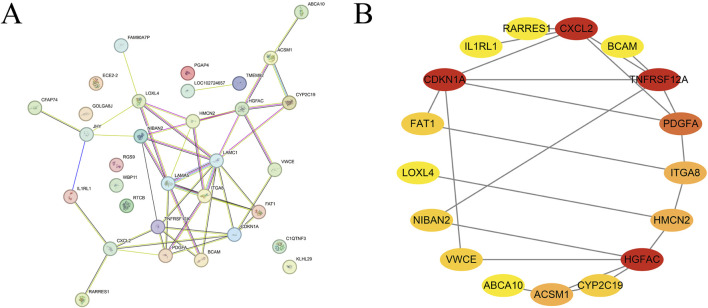 Identifying novel therapeutic targets for non-alcoholic fatty liver disease using bioinformatics approaches: from drug repositioning to traditional Chinese medicine.