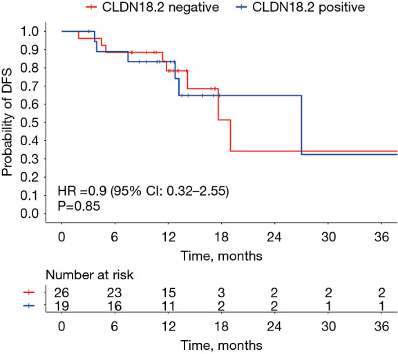 Retrospective analysis of Claudin18.2 expression in ethnically diverse patients with gastroesophageal adenocarcinoma.