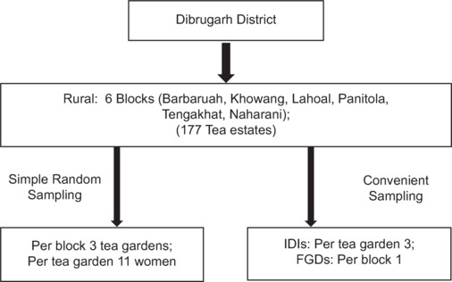 Knowledge, Attitudes, Beliefs, and Practices Regarding Maternal, Infant, and Young Child Feeding (MIYCF) among Women Living in Tea Estates of Dibrugarh District: A Mixed-Method Study.