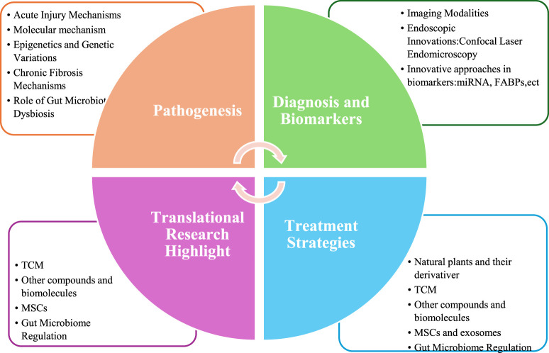 Radiation-induced intestinal injury: from molecular mechanisms to clinical translation.