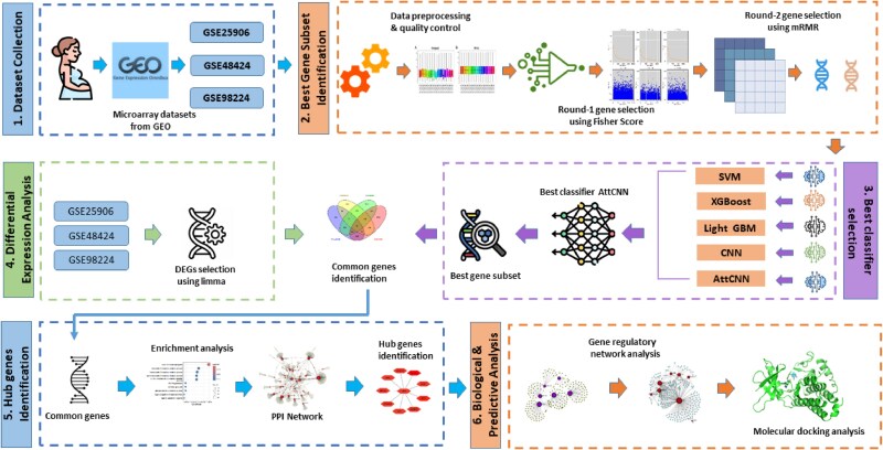 AttBiomarker: unveiling preeclampsia biomarkers and molecular pathways through two-stage gene selection techniques and attention-based CNN with gene regulatory network analysis.