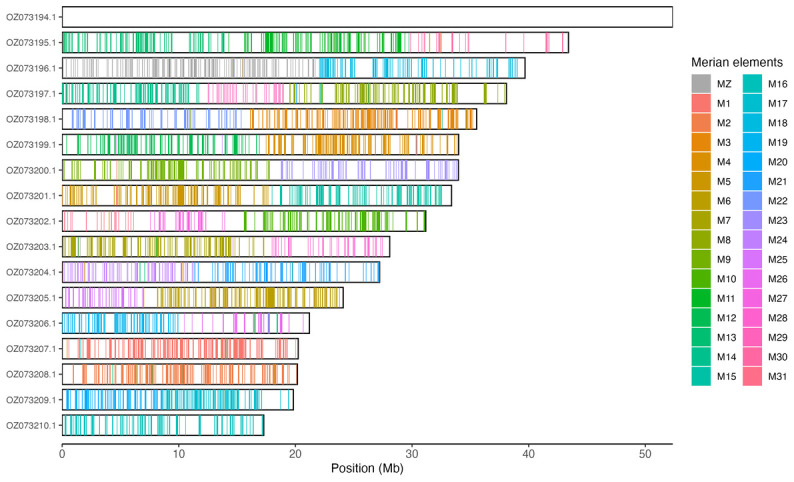 The genome sequence of the de Prunner's Ringlet, <i>Erebia triaria</i> von Prunner, 1798 (Lepidoptera: Nymphalidae).