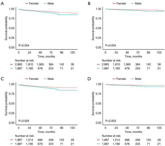 Analysis of clinicopathological characteristics and prognosis of appendiceal neuroendocrine tumors: a retrospective cohort study based on the SEER database.
