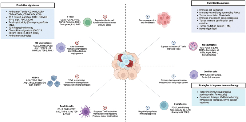 Overcoming immunotherapy resistance in non-small cell lung cancer: a narrative review of related factors.