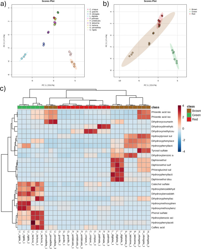 Comprehensive profiling of sulfated phenolic compounds in edible and infesting seaweeds by a dedicated software-assisted platform