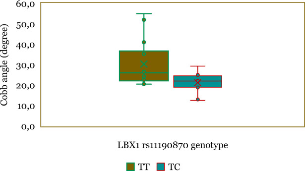 Role of <i>LBX1</i> rs11190870 polymorphism in adolescent idiopathic scoliosis in the Acehnese population: A preliminary study.