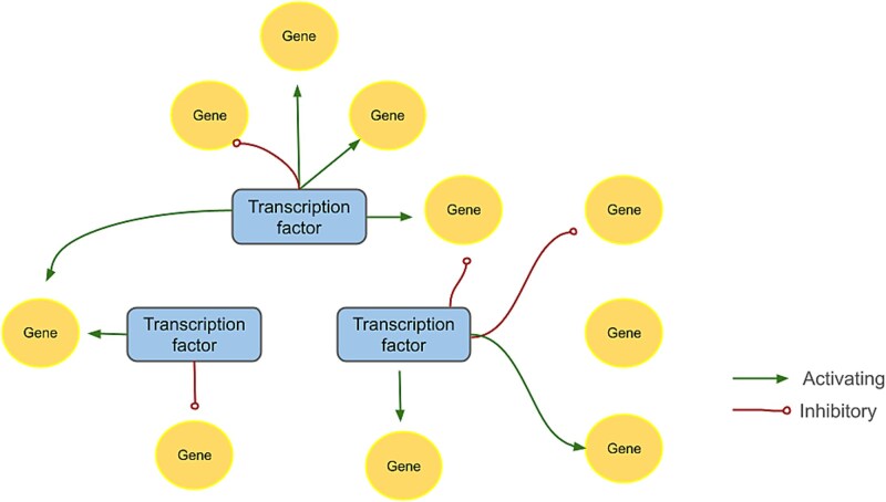 Machine learning methods for gene regulatory network inference.
